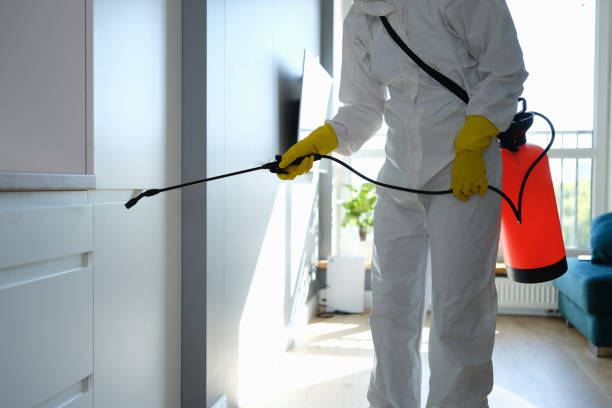 Best Attic Mold Removal  in Raeford, NC