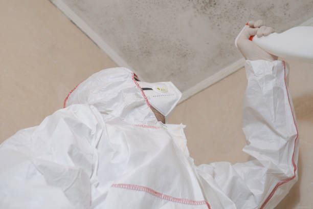 Best Mold Remediation  in Raeford, NC