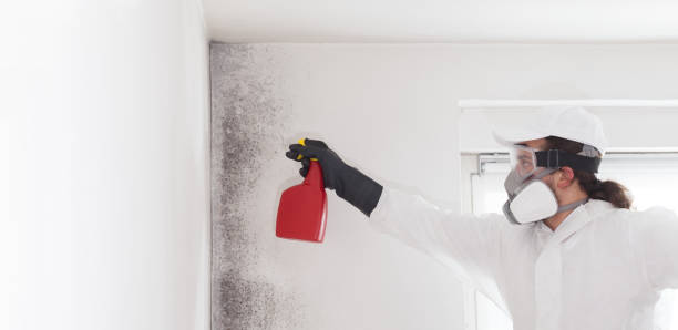 Best Office Mold Removal Services  in Raeford, NC
