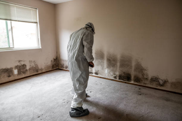 Best Crawl Space Mold Removal  in Raeford, NC