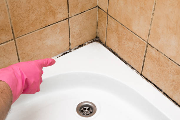 Best Certified Mold Removal  in Raeford, NC